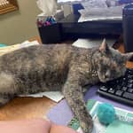 Sitter Profile Image: Liliana G.