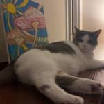 Sitter Profile Image: Fallon W.