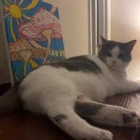 Sitter Profile Image: Fallon W.