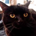 Sitter Profile Image: Pamela D.