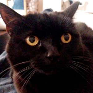 Sitter Profile Image: Pamela D.