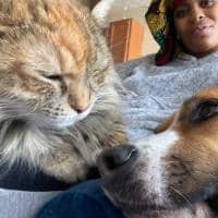 Sitter Profile Image: Ashley L.