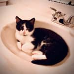 Sitter Profile Image: Sierra F.