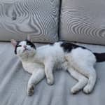 Sitter Profile Image: Loeka G.