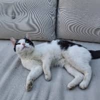 Sitter Profile Image: Loeka G.