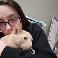 Sitter Profile Image: Hanna E.