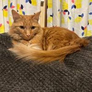 Sitter Profile Image: Stephanie M.