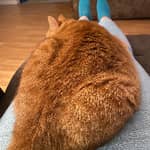 Sitter Profile Image: Jamie M.