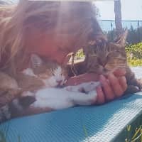 Sitter Profile Image: Jo V.