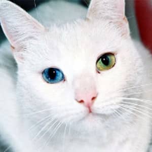 Sitter Profile Image: Juan K' S.