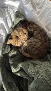 Sitter Profile Image: Clémence B.