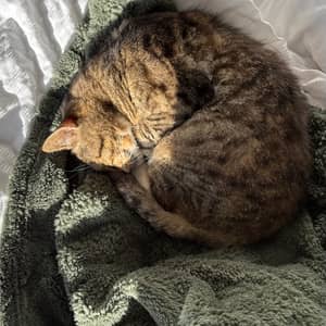 Sitter Profile Image: Clémence B.