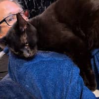 Sitter Profile Image: Astra P.