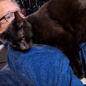 Sitter Profile Image: Astra P.