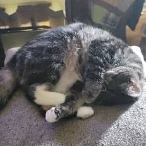 Sitter Profile Image: Shelli H.