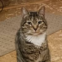 Sitter Profile Image: Tricia W.