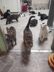 Sitter Profile Image: Cassandra M.