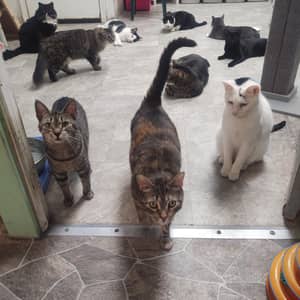 Sitter Profile Image: Cassandra M.