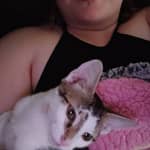 Sitter Profile Image: Breanna P.