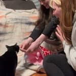 Sitter Profile Image: Montana M.