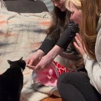 Sitter Profile Image: Montana M.