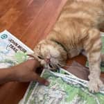 Sitter Profile Image: Coralie D.