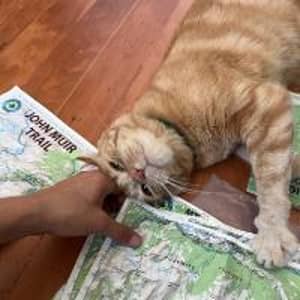 Sitter Profile Image: Coralie D.