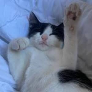 Sitter Profile Image: Sanae D.