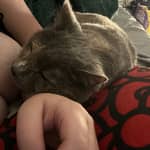 Sitter Profile Image: Bianca G.