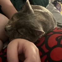 Sitter Profile Image: Bianca G.