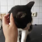 Sitter Profile Image: Julia B.