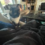 Sitter Profile Image: Alexis I.