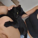 Sitter Profile Image: Julia K.