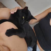 Sitter Profile Image: Julia K.