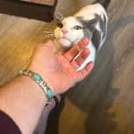 Sitter Profile Image: Nathaniel H.