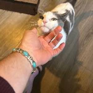 Sitter Profile Image: Nathaniel H.