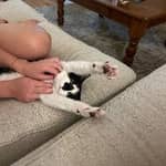 Sitter Profile Image: Pascale A.