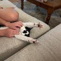 Sitter Profile Image: Pascale A.