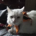 Sitter Profile Image: Rita F.