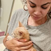 Sitter Profile Image: Grace D.