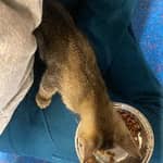 Sitter Profile Image: Kaylee I.