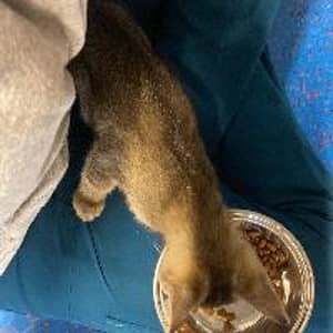 Sitter Profile Image: Kaylee I.