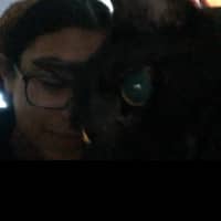 Sitter Profile Image: Addison P.