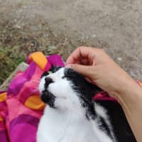 Sitter Profile Image: libert m.