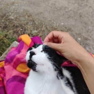 Sitter Profile Image: libert m.