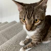 Sitter Profile Image: Esperanza M.