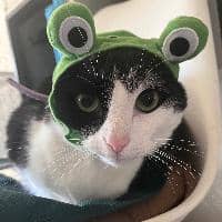 Sitterprofilbild: Karen D.