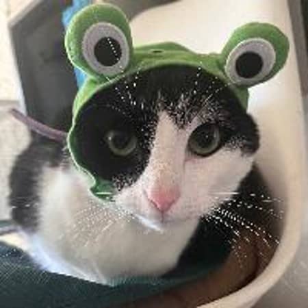 Photo de profil