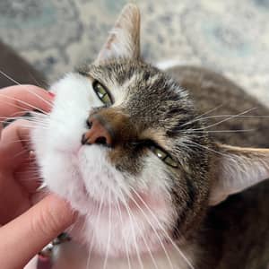 Sitter Profile Image: Alyssa S.