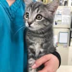 Sitter Profile Image: Jordan H.